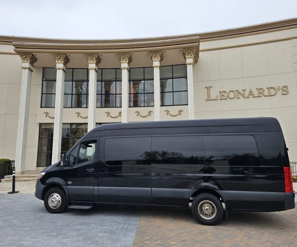 sprinter-van.jpg